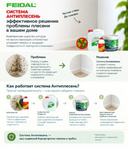 Плесень в квартире: невидимая угроза, которую можно предотвратить